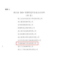 耐森電氣入選浙江省2024年隱形冠軍企業(yè)公示名單
